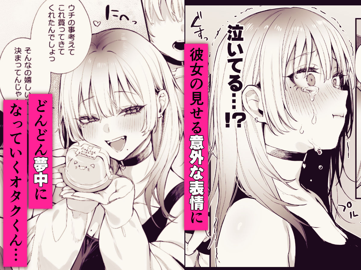 一晩泊めてよ、オタクくん-サンプル画像5