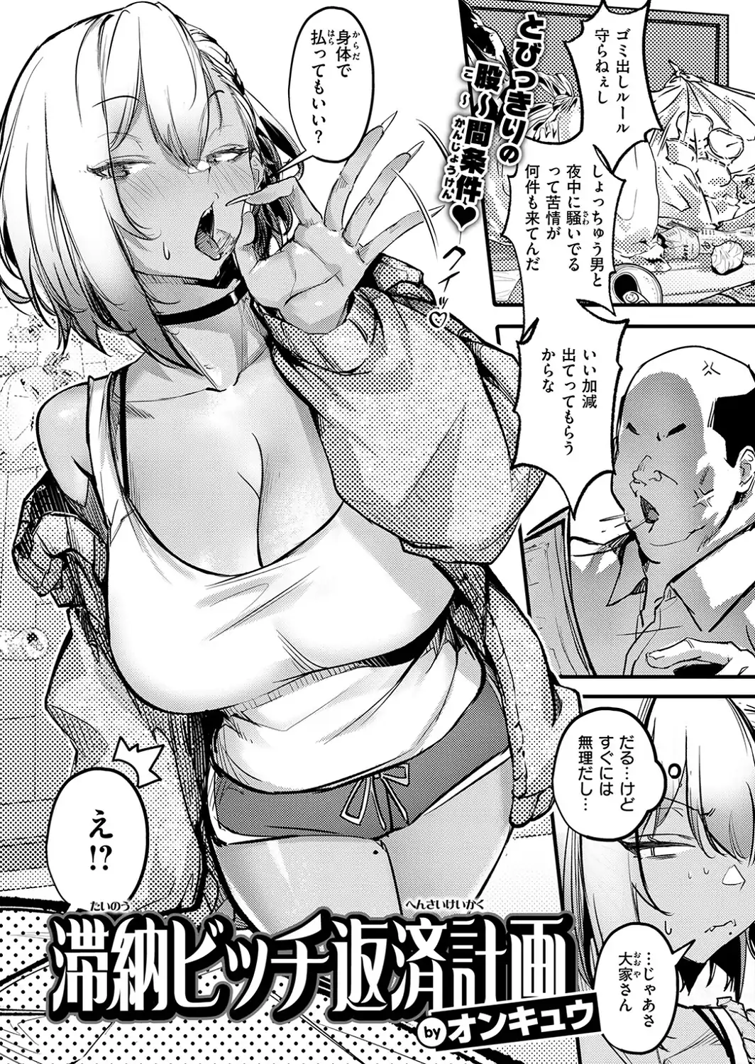 滞納ビッチ返済計画-サンプル画像4